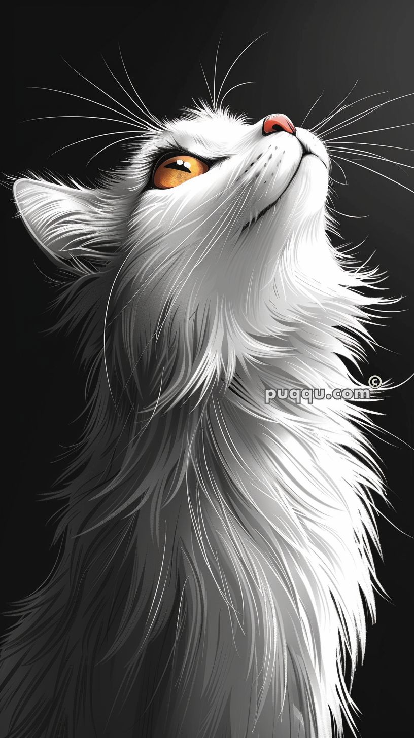 easy-cat-drawing-ideas-211
