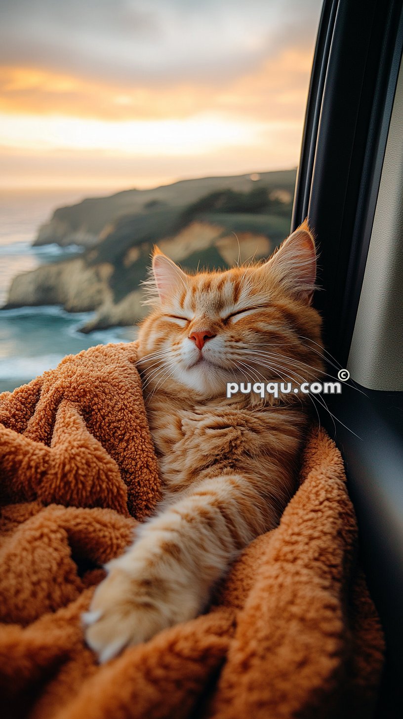 A ginger cat wrapped in a cozy brown blanket, resting by a car window with a scenic coastal view at sunset.