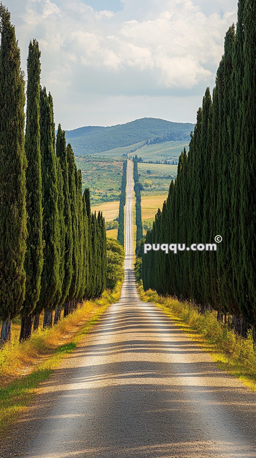 A long, straight road flanked by tall, slender cypress trees leading to distant hills under a partly cloudy sky.