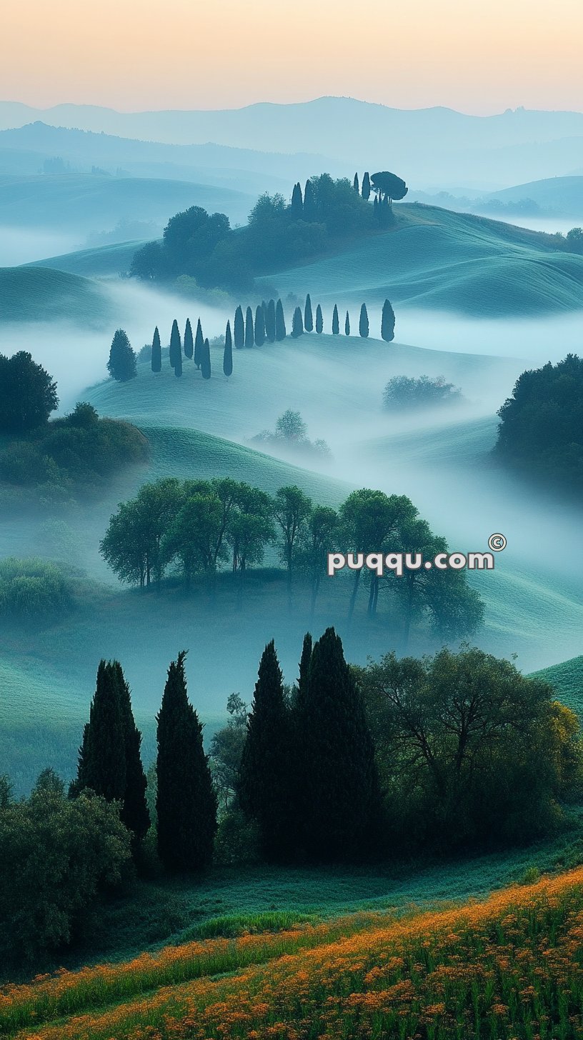 Misty Tuscan landscape with rolling hills, tall cypress trees, and wildflowers in bloom.