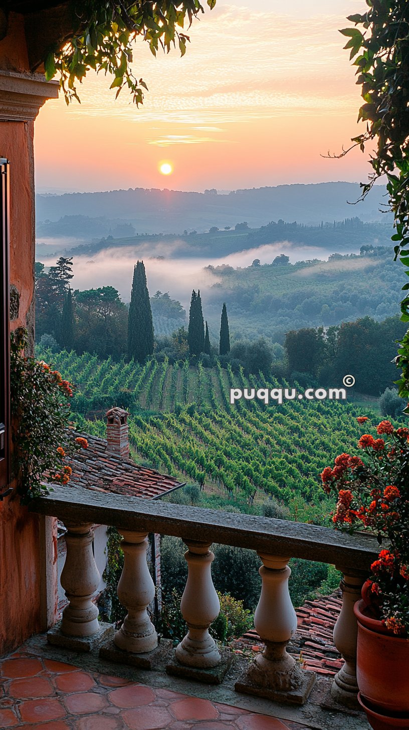 View from a terrace with stone balustrades overlooking a vineyard and trees at sunrise, with misty hills in the background.