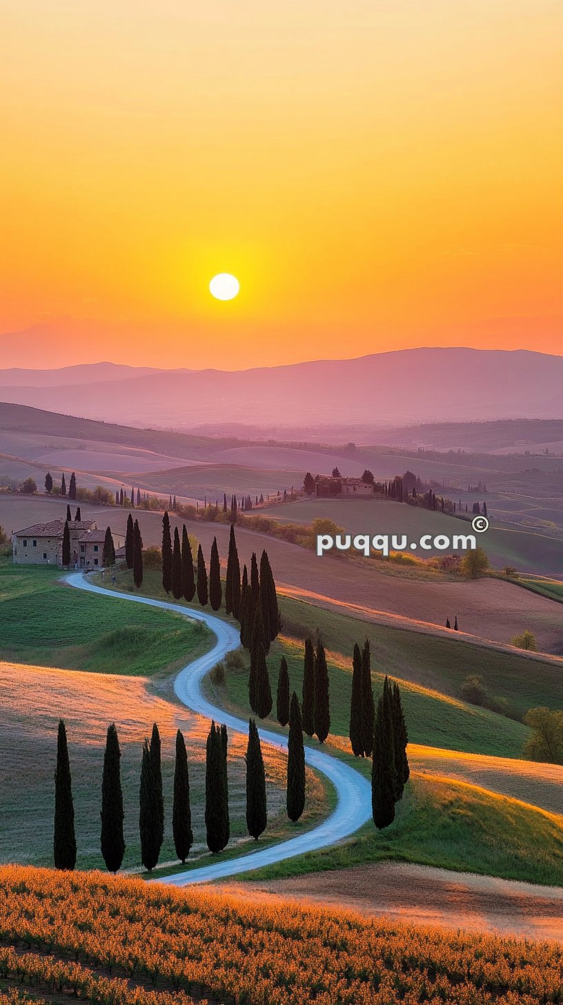 Sunset over a rolling landscape with a winding road between tall cypress trees and scattered houses.