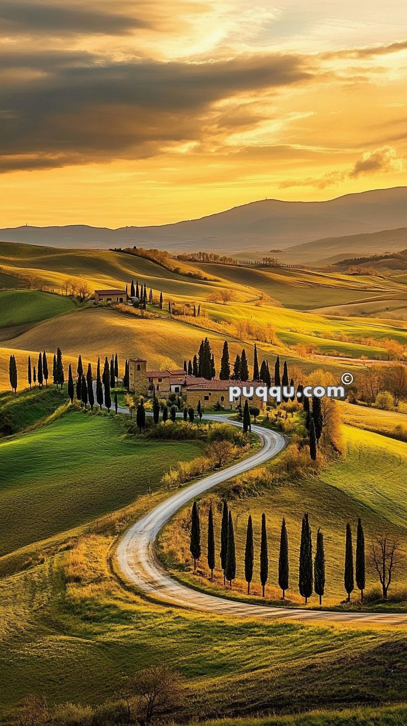 A winding road lined with tall cypress trees leading to a farmhouse amidst rolling hills at sunset.