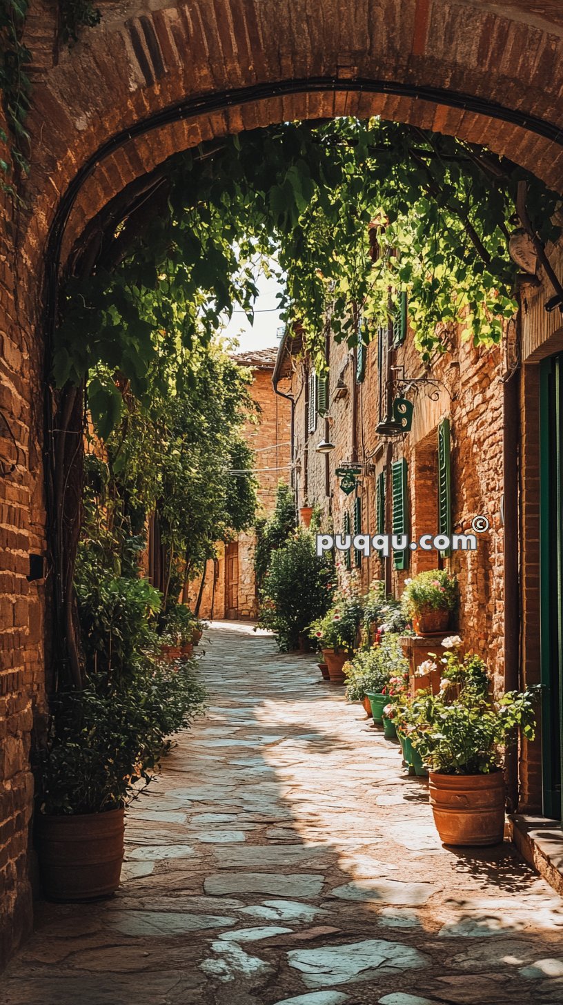 Stone-paved narrow alley with potted plants, green window shutters, and climbing vines under an archway.