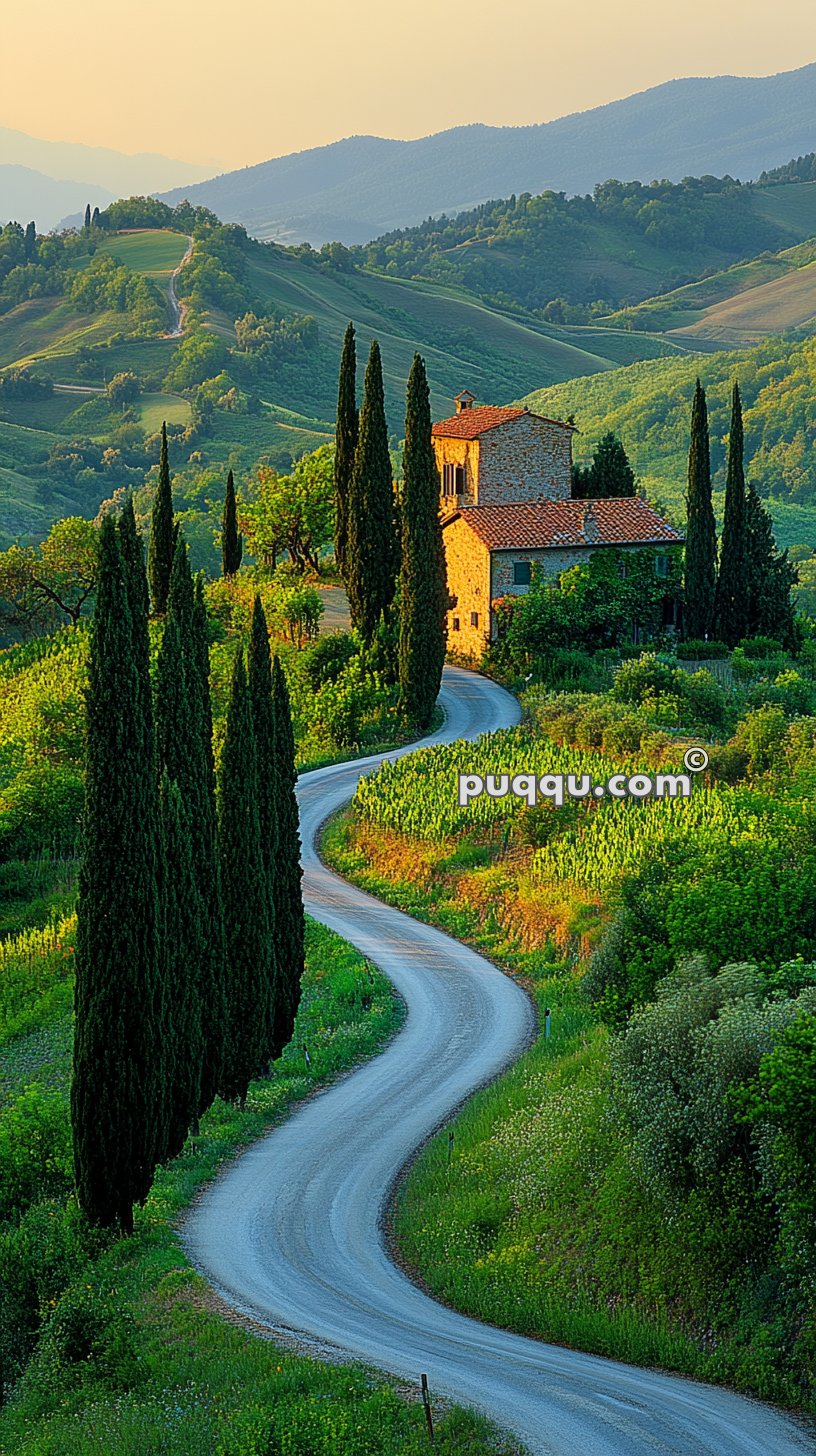 Winding road leading to a rustic villa surrounded by cypress trees and rolling green hills.