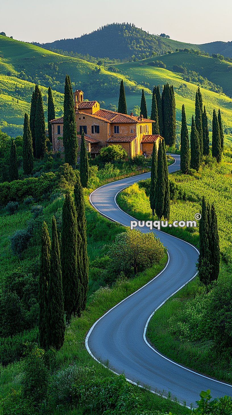 A winding road leads to a rustic house surrounded by tall cypress trees and lush green hills.