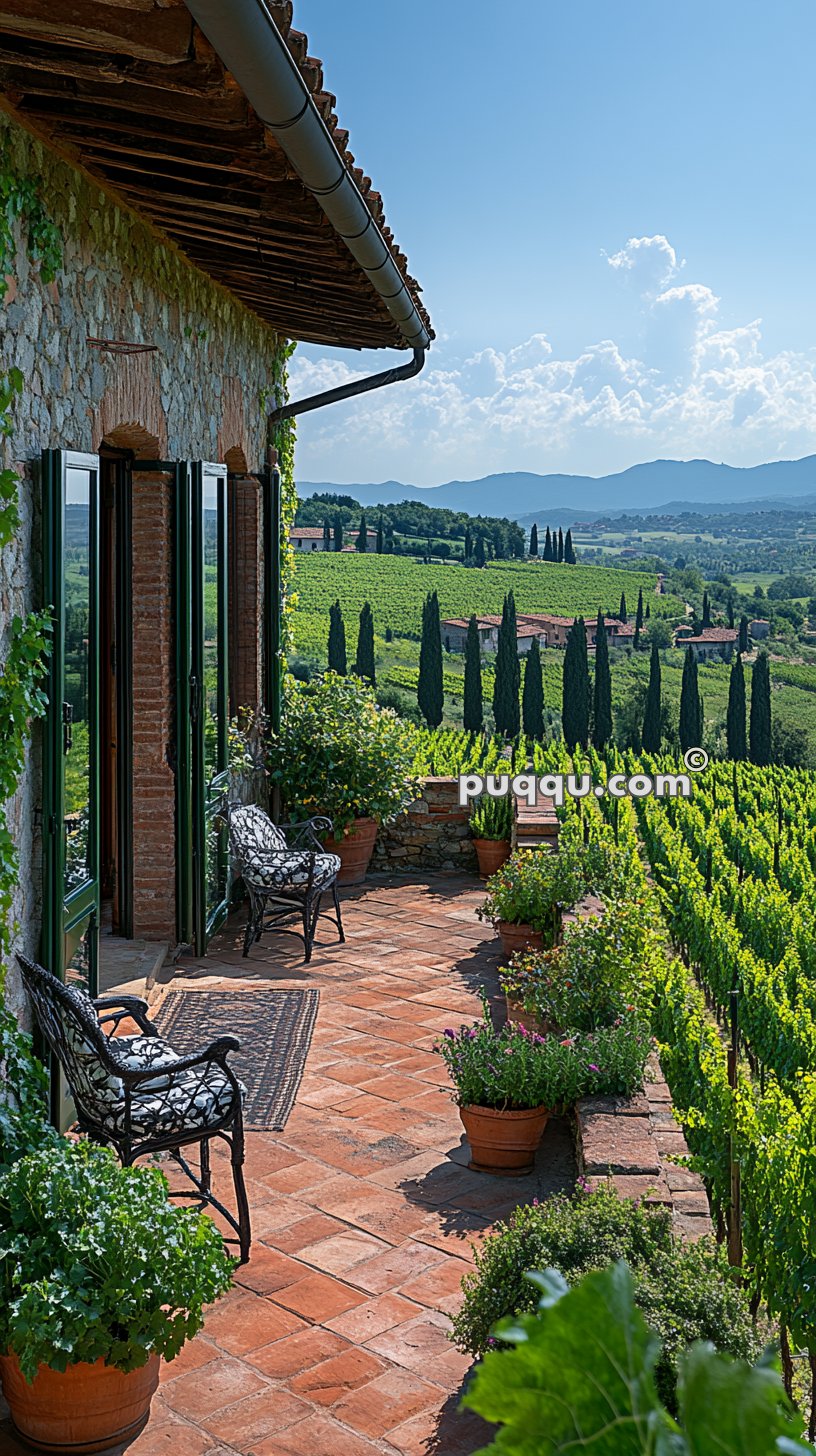 Terracotta patio with black wrought iron chairs overlooking a lush vineyard and rolling hills.