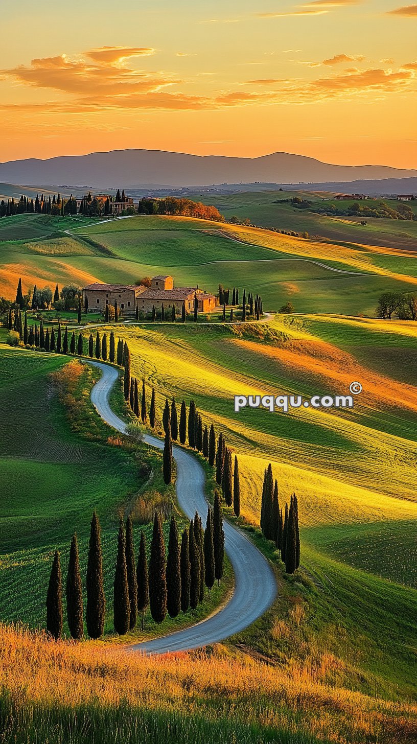 Curved road lined with cypress trees leading to a farmhouse at sunset in the rolling hills of Tuscany.