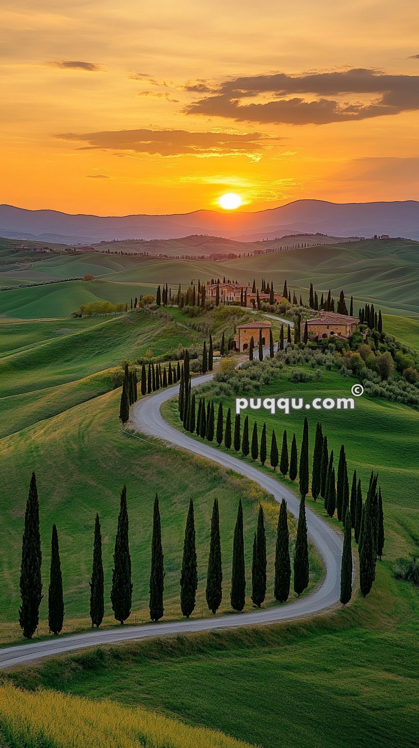 Winding road lined with tall cypress trees leading to a villa at sunset in the rolling hills of Tuscany.