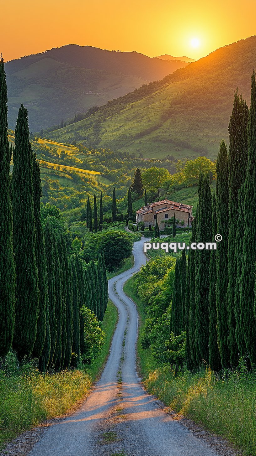 A winding path lined with tall cypress trees leads to a house nestled among rolling green hills at sunset.