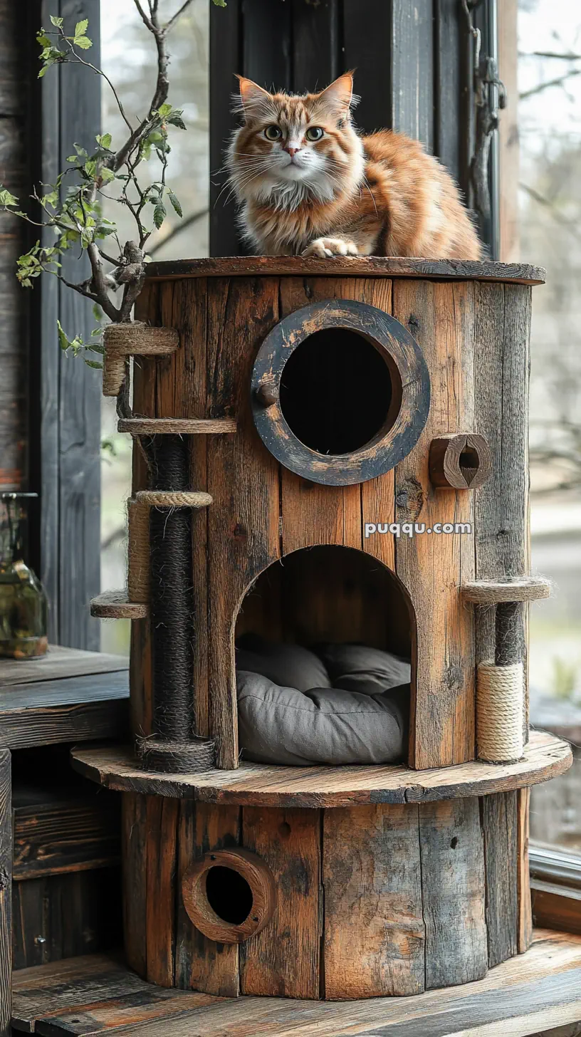 A ginger and white cat sitting on top of a rustic wooden cat house by a window.