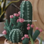 Amigurumi Desert Cactus Cluster – FREE Crochet Pattern