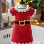 A dish soap bottle dressed in a crocheted Santa-style outfit with a red dress, white frilled collar and sleeves, and a black belt with a yellow buckle, placed in a kitchen sink with decorative lights in the background.